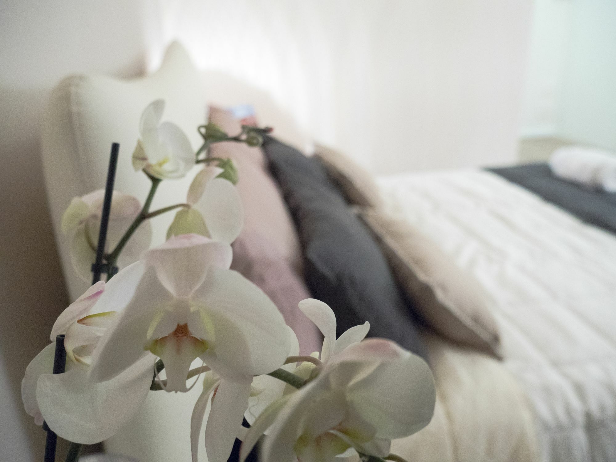 Relais Love Verona Buitenkant foto